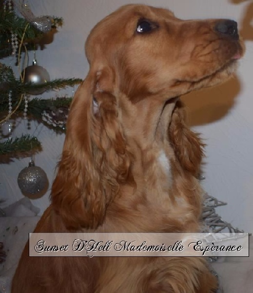 Sunset D'hell Mademoiselle esperance dite maddy