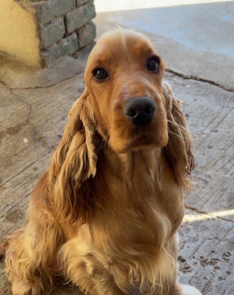 Sunset D'hell Vanity