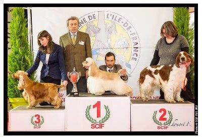 Sunset D'hell - Paris Dog Show