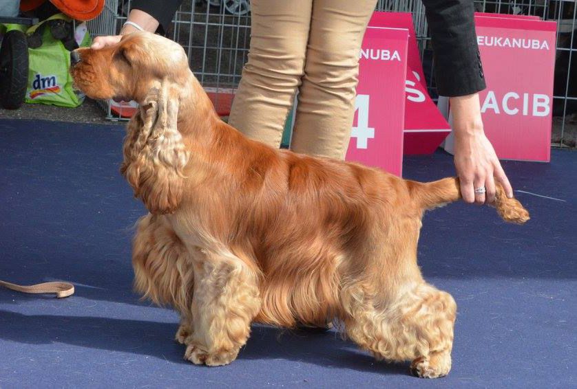 Sunset D'hell - Dior Champion !!