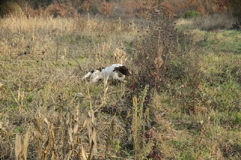 Sur le terrain 
